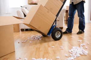 removal services